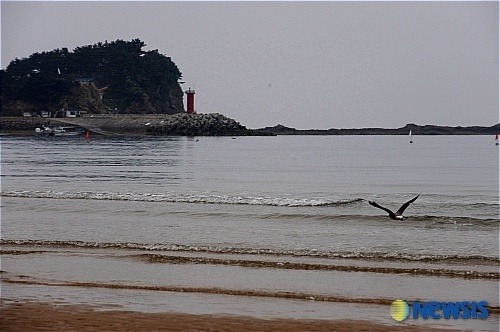 한국의 시민의식.jpg | 인스티즈
