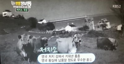 온리원유 이미지