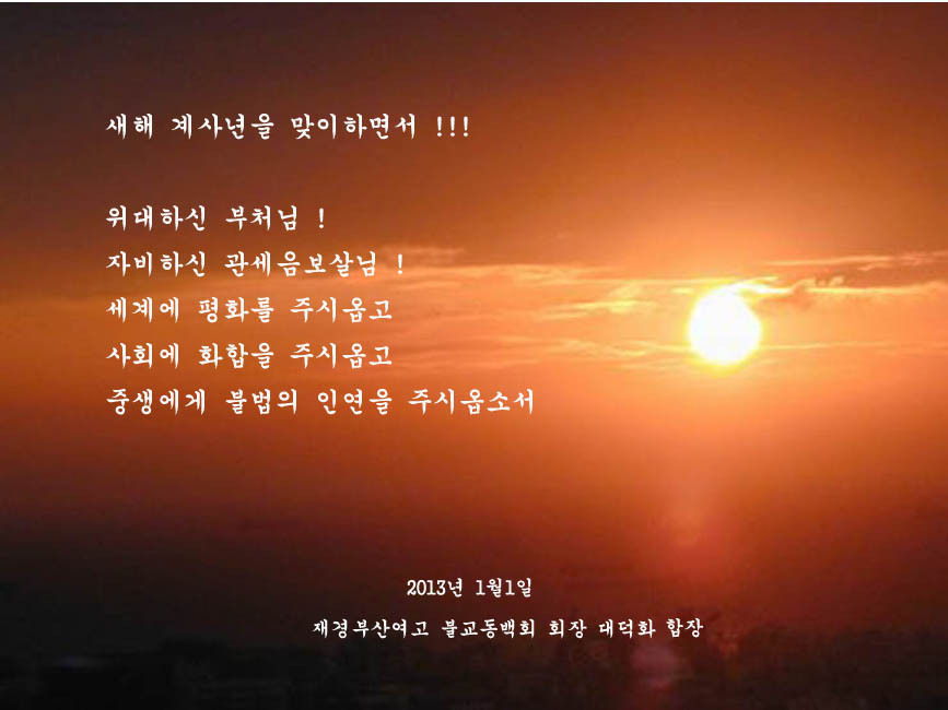 대덕화 이미지