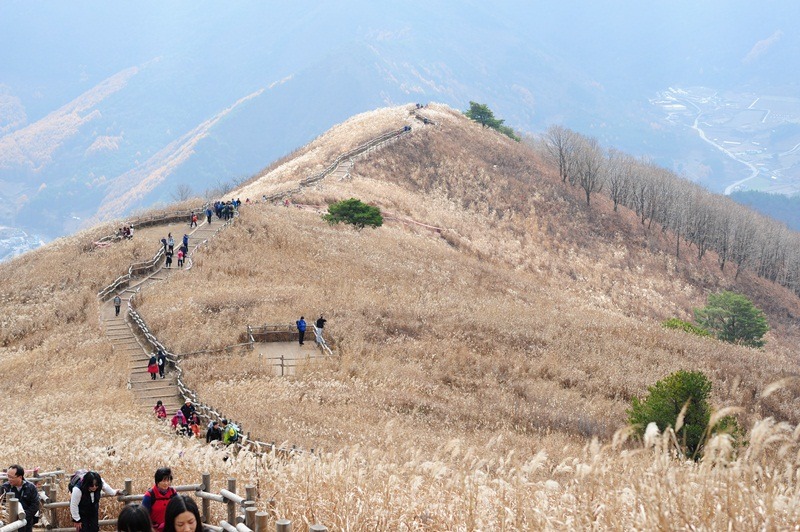 민둥산 이미지