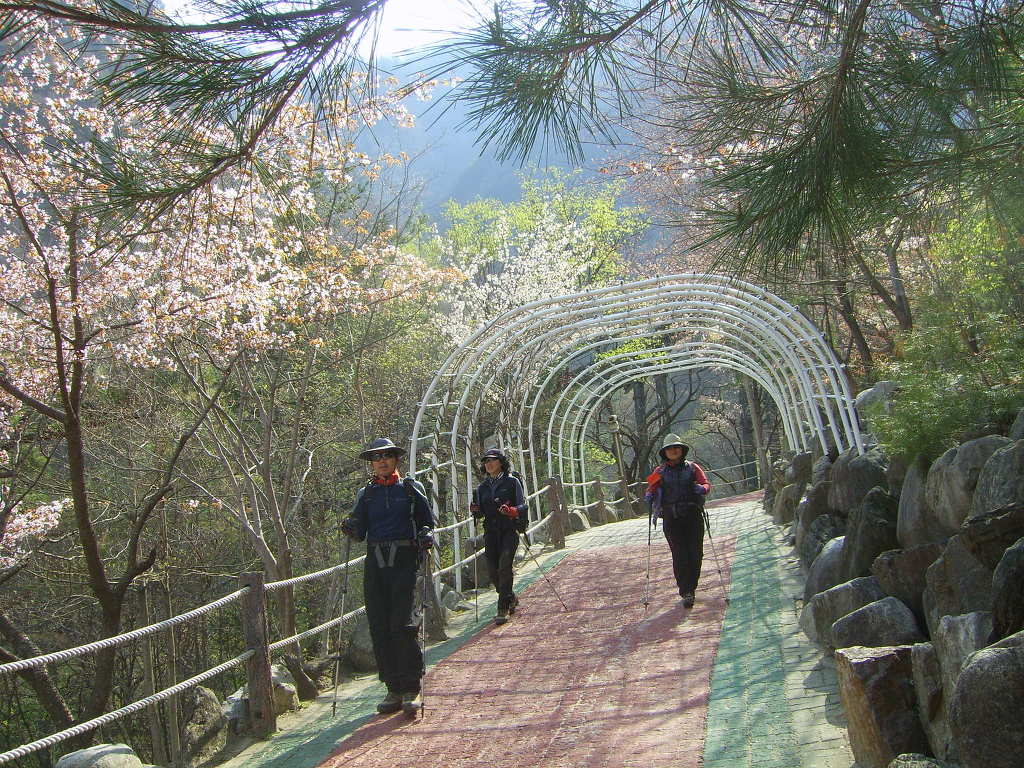 번개사 이미지