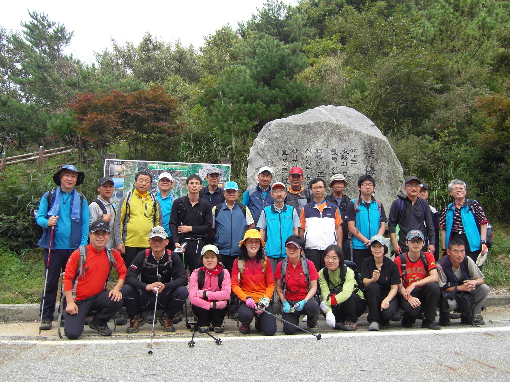 진산주 이미지