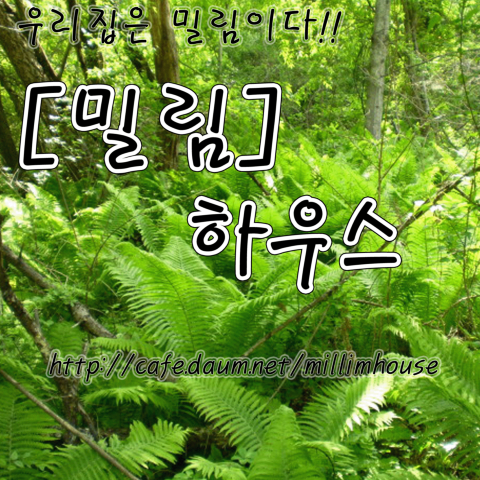 밀림 이미지