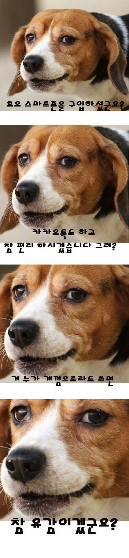 스마트폰을 구입하셨군요? | 인스티즈