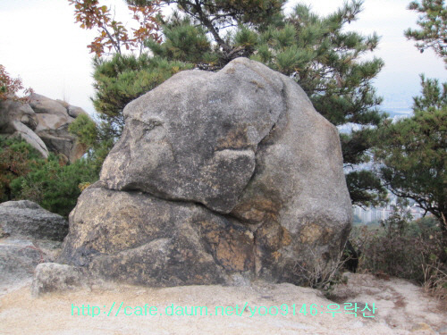 곰바위주 이미지