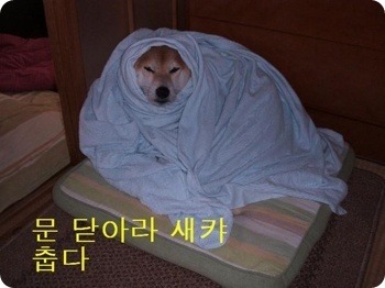 터주대감 이미지