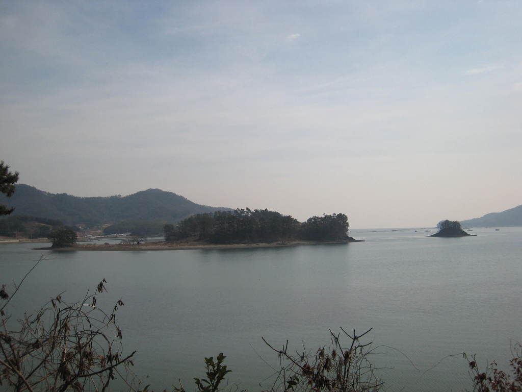 말밥 이미지