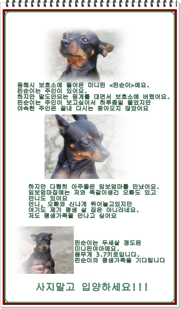 순이 이미지