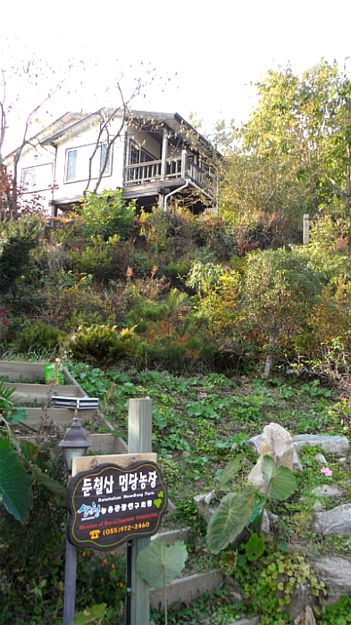 먼당농장 이미지