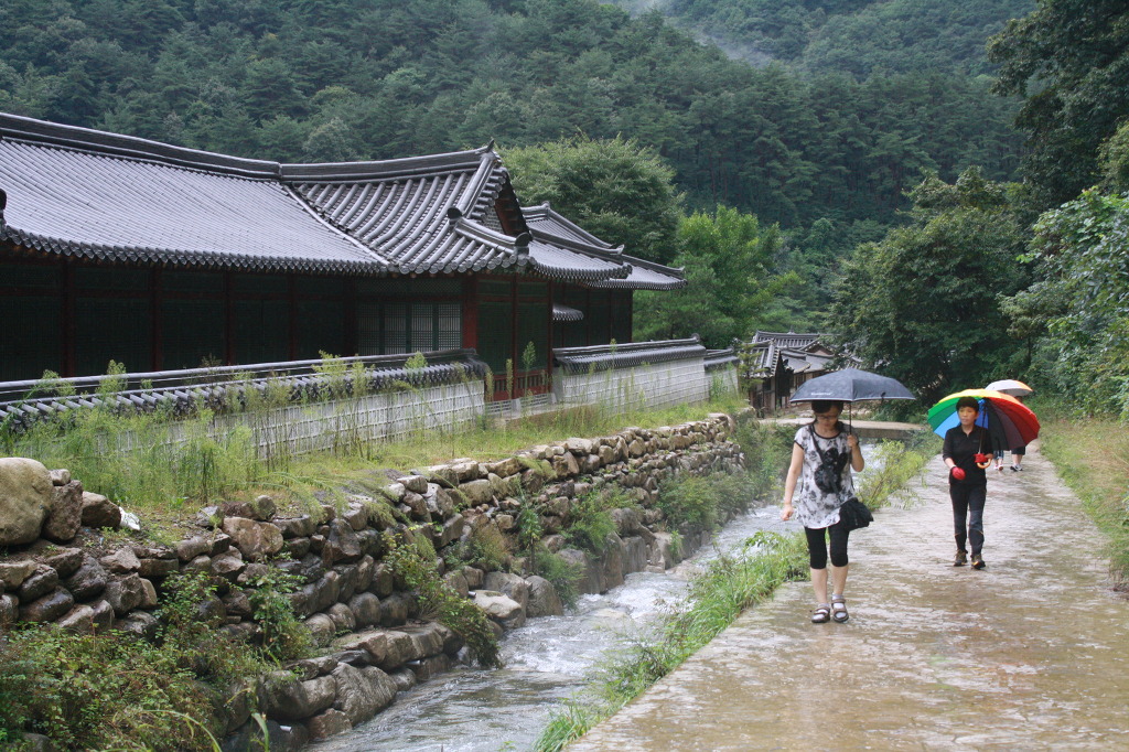 일림 이미지