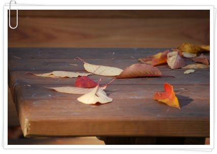 120C57395093FEB51C0E8D