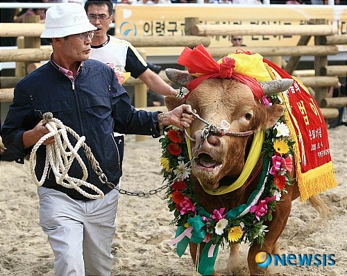 범이네 이미지