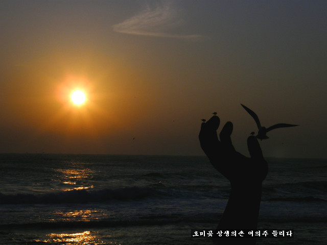 상생의손 이미지
