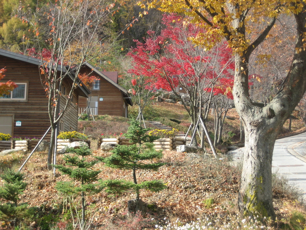 계명산자연휴양림 이미지