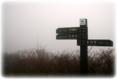 러브레타 이미지