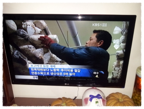 토리농장 이미지