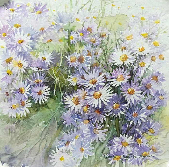 데이지(daisy) 이미지