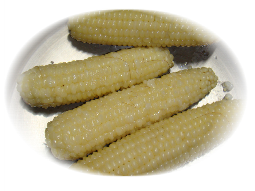 우리방 이미지