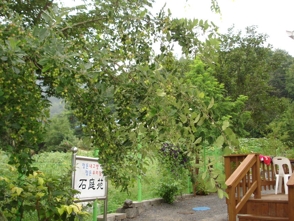 석정원 이미지