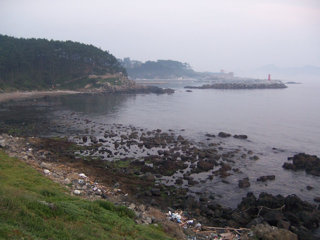 대송회센타 이미지