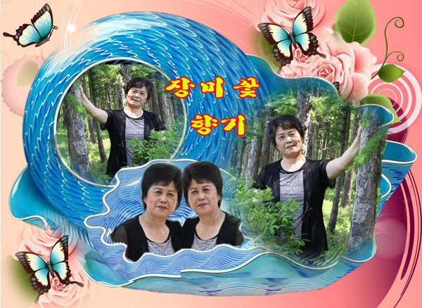 나비가요세상 이미지