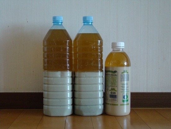 대일관광 이미지