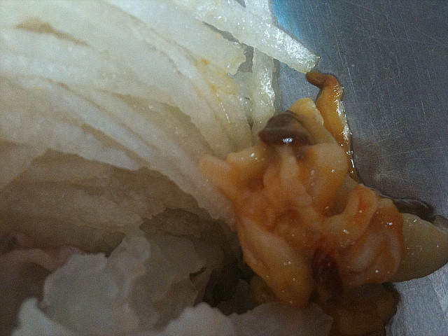 포항물횟집 이미지