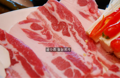 금수레 이미지