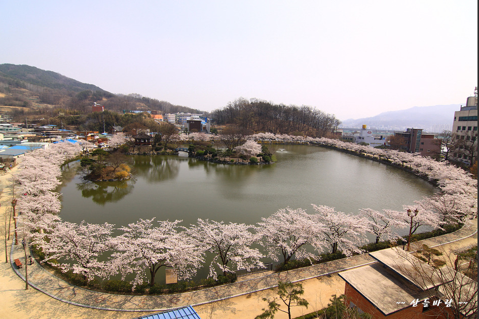 연화지 이미지