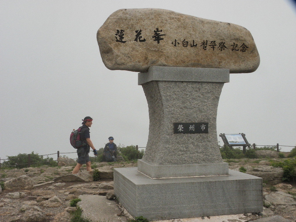 산철죽 군락지 이미지