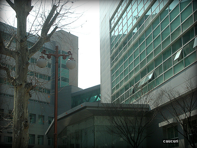 서울대학교병원 이미지