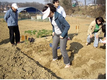 펑미인 이미지
