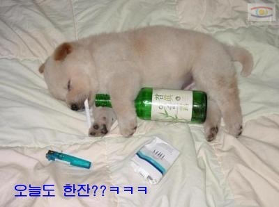 오늘도한잔 이미지