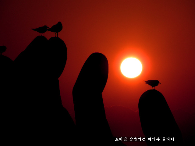 상생의손 이미지