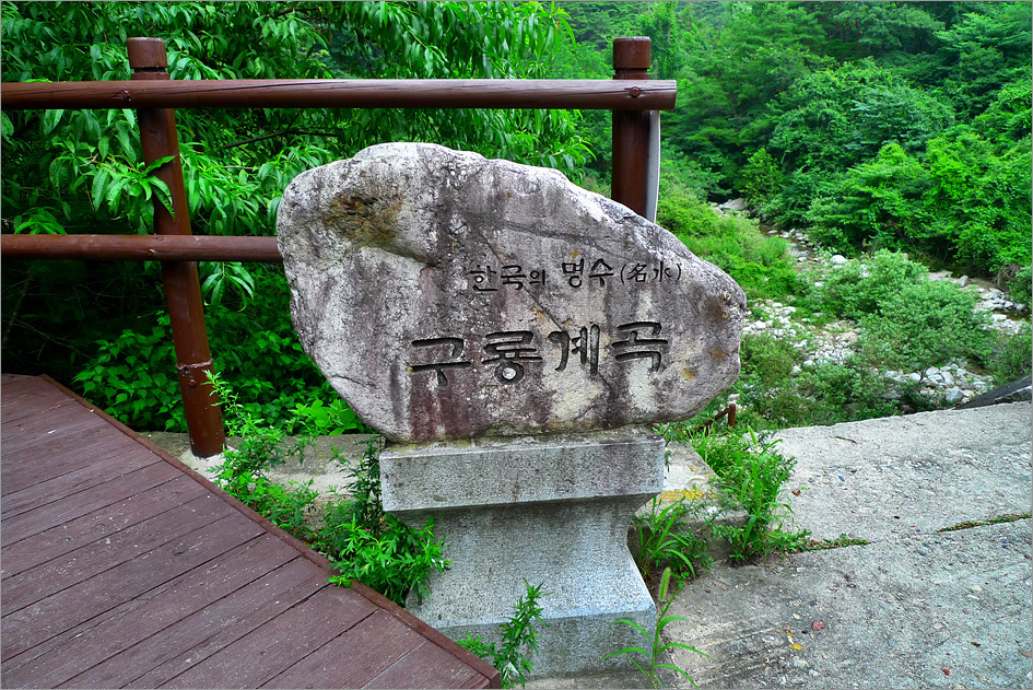 구룡농업협동조합 이미지