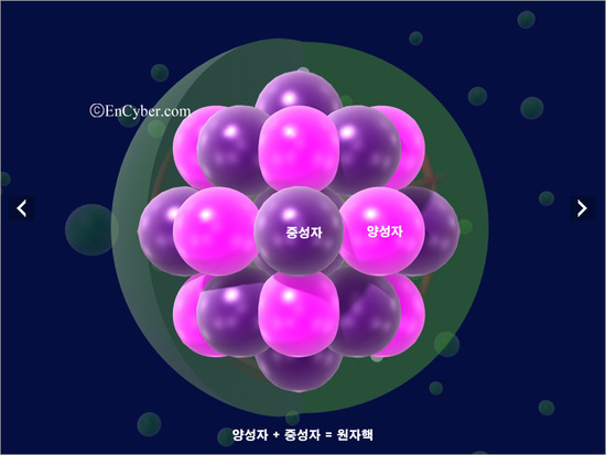 본구조 이미지
