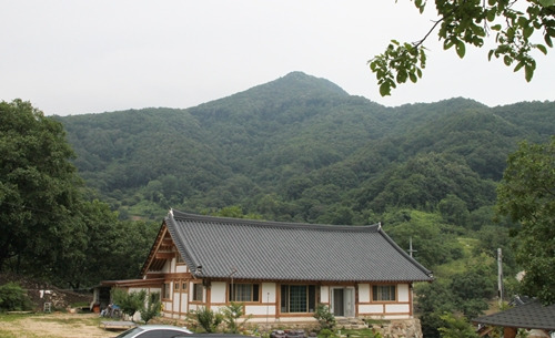 자연숨 이미지
