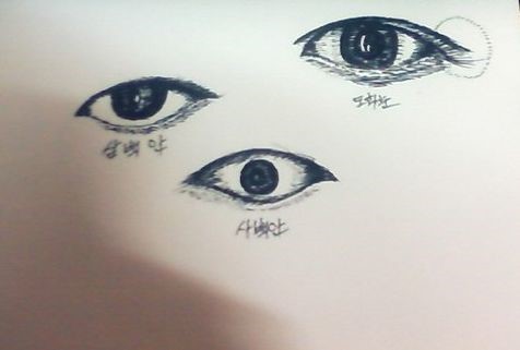 삼백안 사백안 도화눈 | 인스티즈