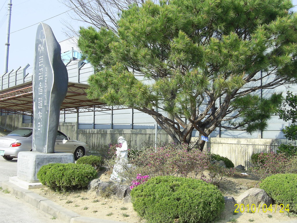 용봉초등학교 이미지
