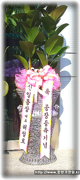 대영식품(주) 이미지