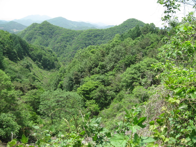 산골별장 이미지