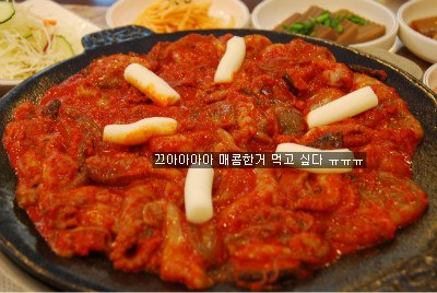 아라쭈꾸미 이미지