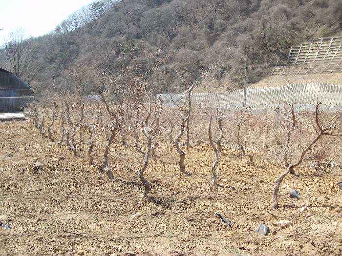 소사농장 이미지