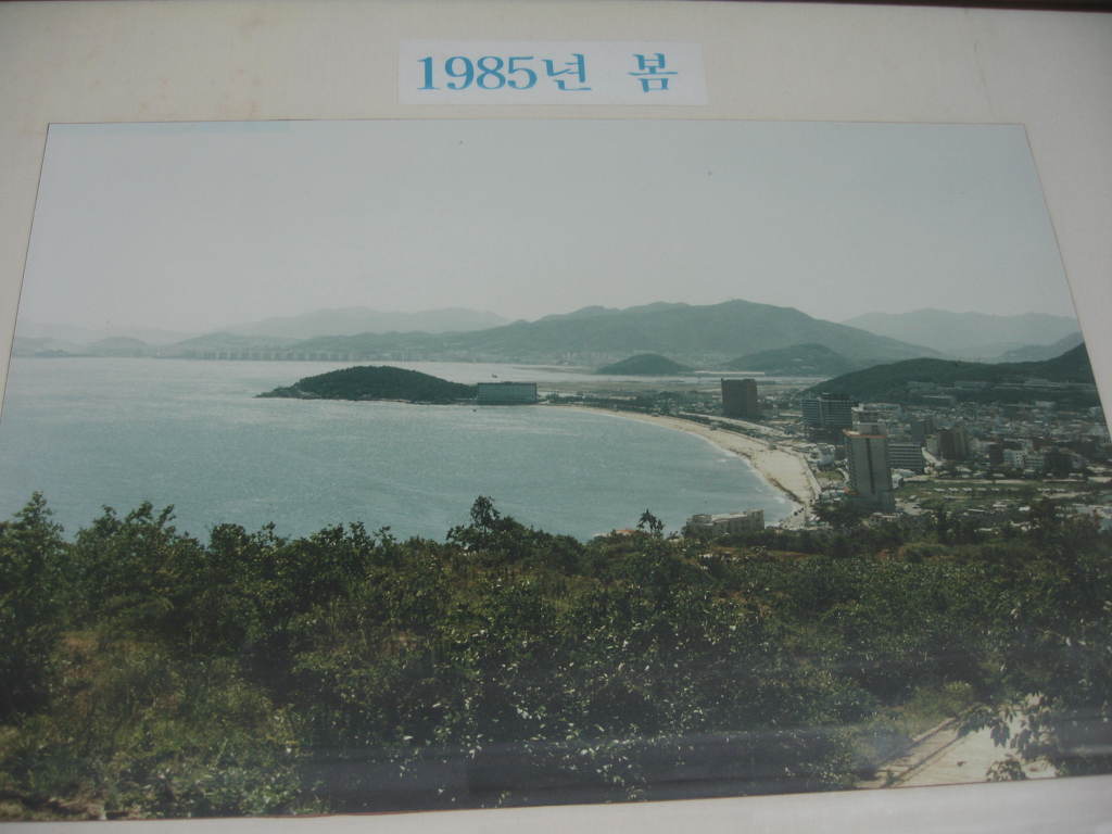 오륙도갈매기 이미지