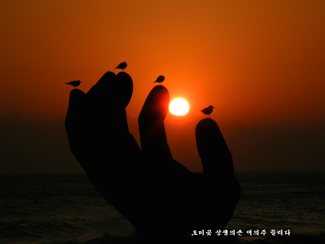 상생의손 이미지