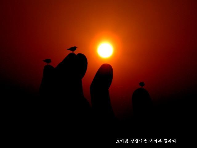 상생의손 이미지