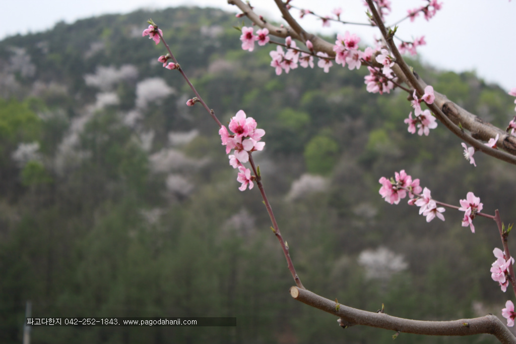 바람내음 이미지