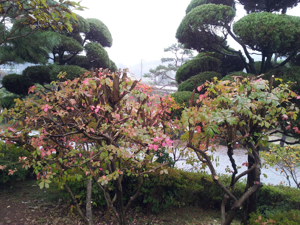 식당정원 이미지
