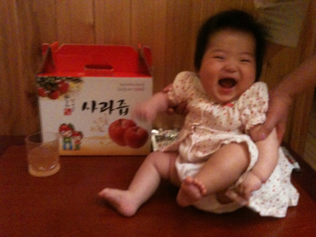 오남매농장 이미지