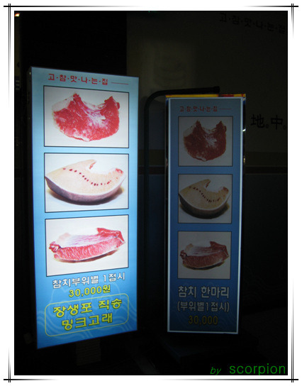 지중해 참치 이미지